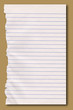 Sheet of ripped notepaper. Sheet of ripped notepaper.
