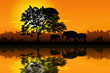 Africa
