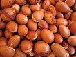 Argan, noyaux du fruit de l'arganier