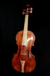 Violon