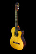 Cut-away Classical guitar oblique view