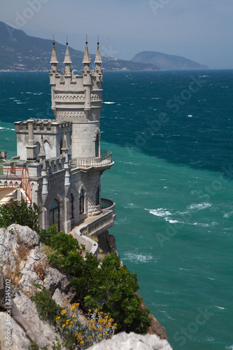 Photo: swallow's nest -7 swallow's nest -7