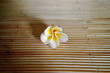 fleur de Frangipane