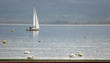 voilier sur le lac