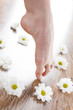 Female feet on the dark floorboard