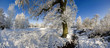 snow