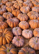 Tas de citrouille