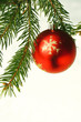 Red christmas ball isolated on white background