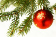 Red christmas ball in tree