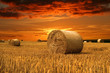 Fall is comming Fall is comming
