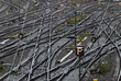 Auf dem Hamburger Hauptbahnhof Auf dem Hamburger Hauptbahnhof