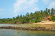 Tropical Landscape