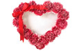 Carnation In Love Shape Carnation In Love Shape