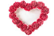 Carnation In Love Shape Carnation In Love Shape