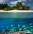 Dreamisland