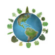 World forest