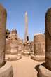 An ancient temple in Luxor.