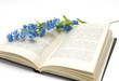 flower and book
