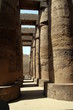 An ancient temple in Luxor. 3