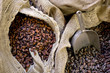 Fève Cacao