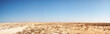Middle-East desert panorama