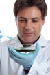Scientist researcher testing analysing lab work. Focus man