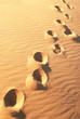 Footprints