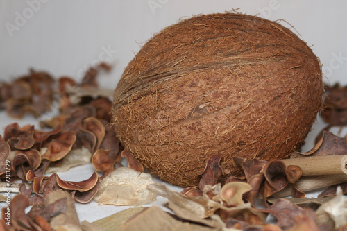 Photo: cocoanut cocoanut