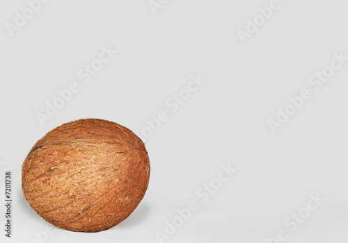 Photo: cocoanut cocoanut