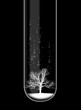 Tree in test tube
