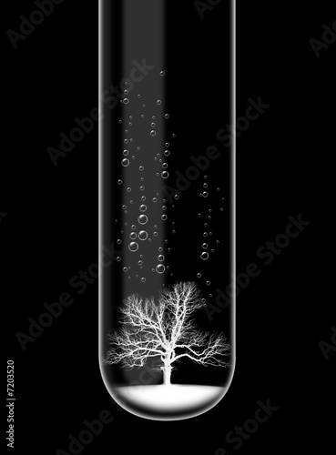 Illustration: Tree in test tube Tree in test tube