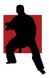 Kung Fu man