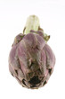 artichoke on white background