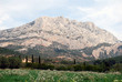 Vue sur la Sainte Victoire