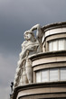 Apollons