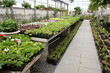 garden centre