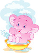 The pure elephant