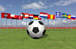 Fußball EM 2008 mit Nationalflaggen