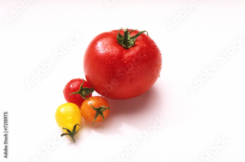 Photo: Different tomatoes on white background Different tomatoes on white background