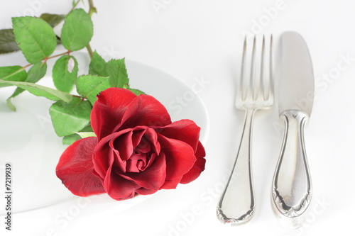Foto: rose on a plate rose on a plate