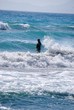 Foto: Swimming in the waves Swimming in the waves