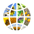 Globe terrestre 2