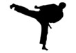 Karate kick