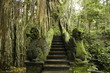 monkey forest ubud monkey forest ubud
