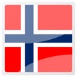 norwegian square aqua button