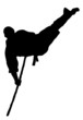 Karate jump with staff