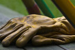 Garden Gloves & Tools V3 Garden Gloves & Tools V3
