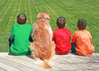 Three Boys Sitting on the Deck with the Dog Three Boys Sitting on the Deck with the Dog