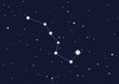 constellation "the Great Bear"