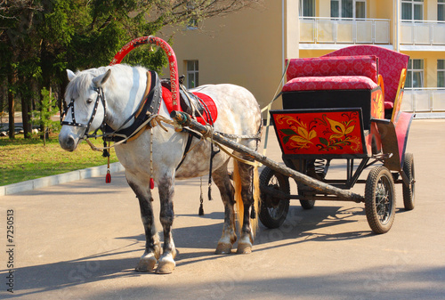 Photo: dappled horse in red gear with a russian tradition wagon dappled horse in red gear with a russian tradition wagon